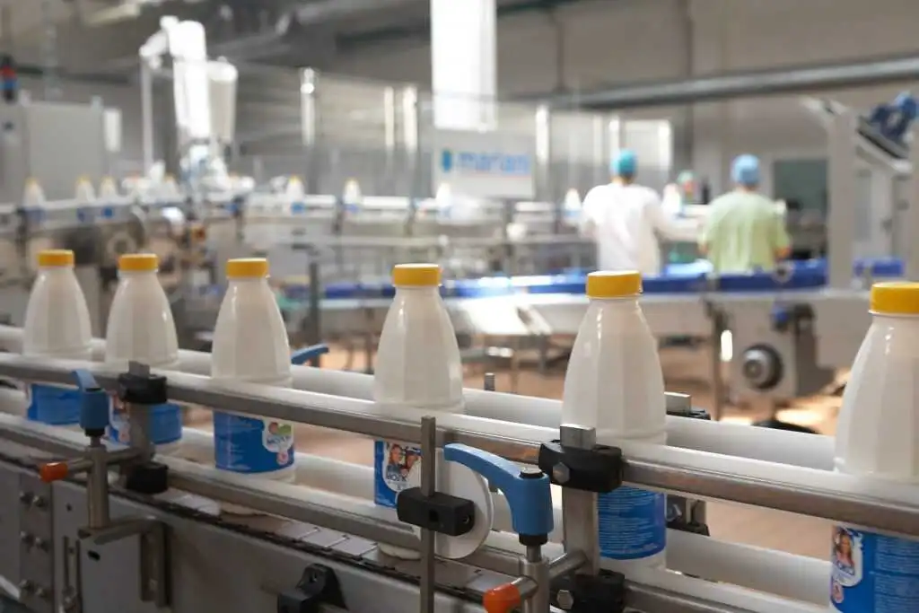 milk